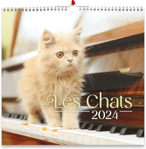 Nos amis les chats, Grand format - Grand calendrier avec 12 belles photos de chats