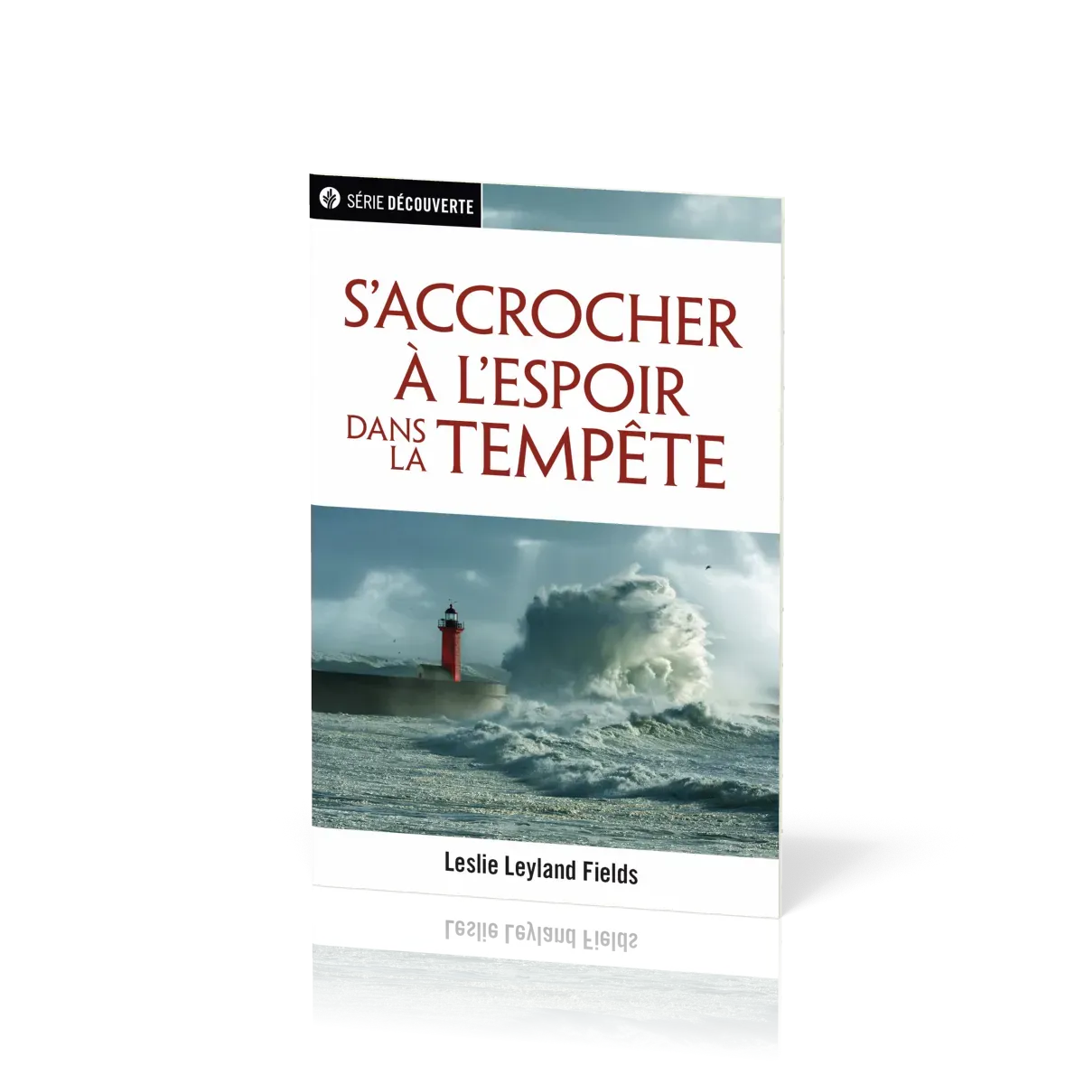 S'accrocher à l'espoir dans la tempête