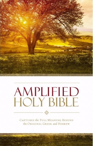 Anglais, Bible Amplified, grand format, reliée cartonnée, couverture illustrée