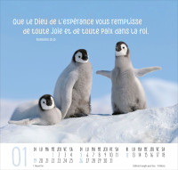 Meilleurs amis - Calendrier grand format