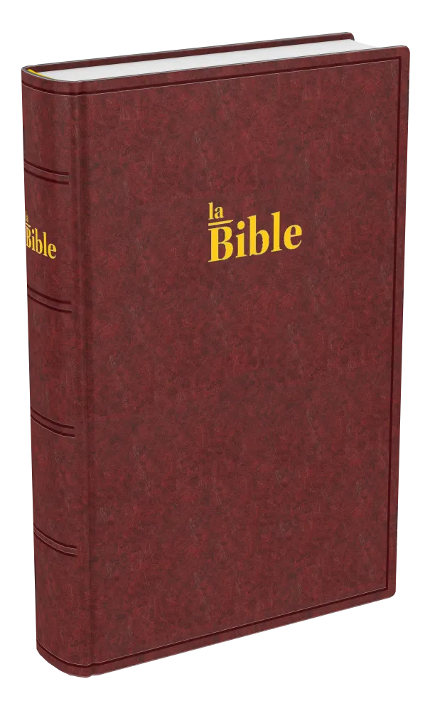 Bible Darby, format compact, brune - couverture rigide