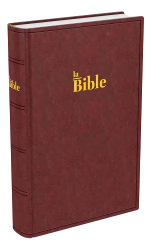 Bible Darby, format compact, brune - couverture rigide