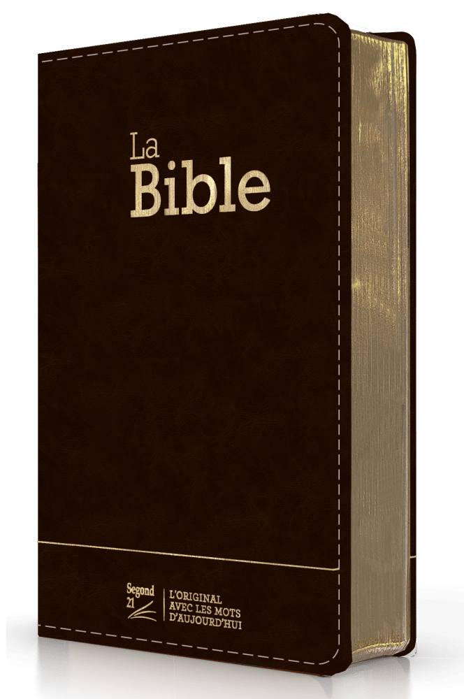 Bible Segond 21 compacte (Premium Style) - couverture semi-rigide cuir anthracite, avec tranches...