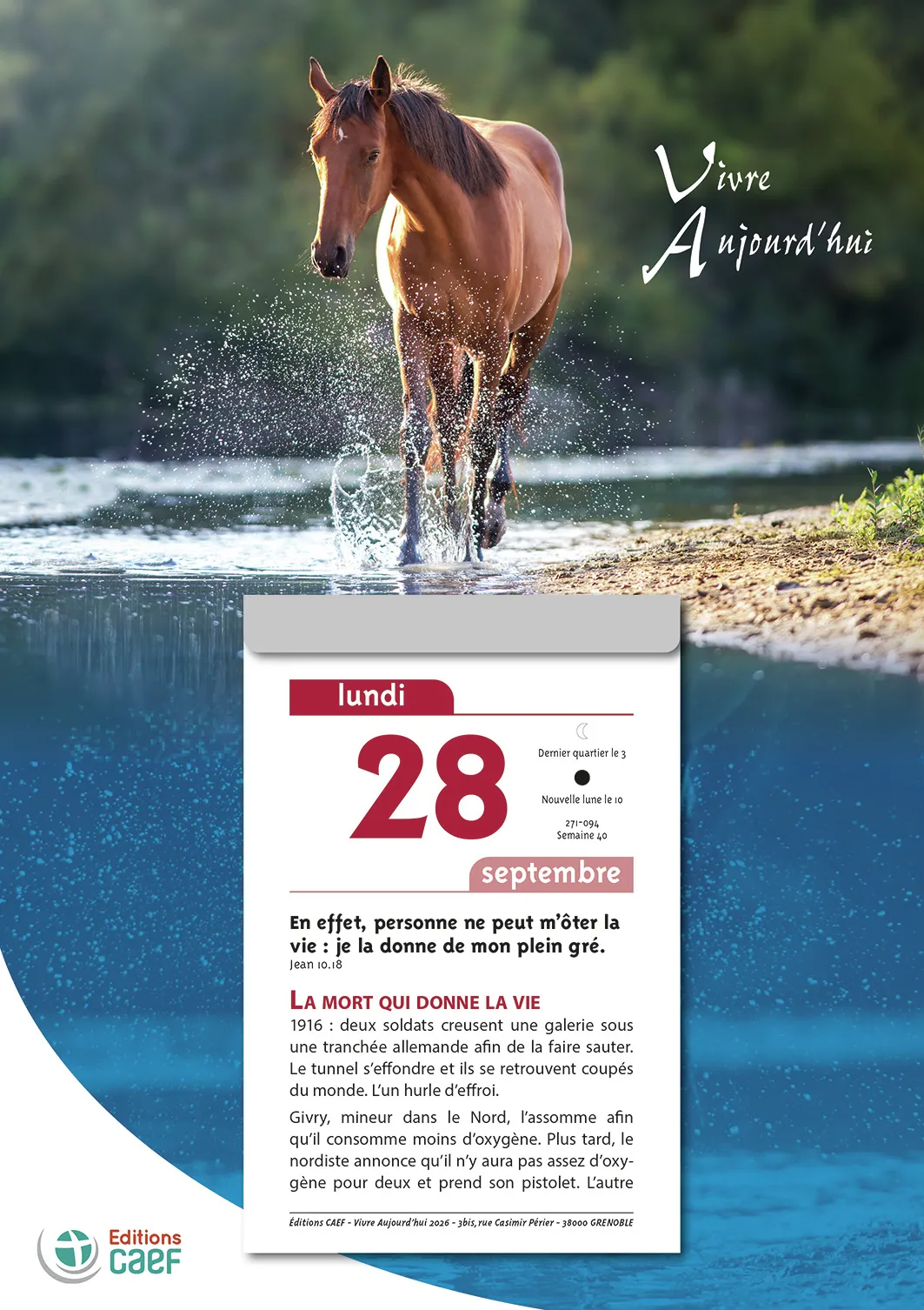 Vivre aujourd'hui - calendrier éphéméride, à suspendre et effeuiller, grande plaque