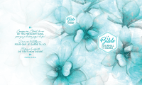 Bible Segond 21 Journal de bord - couverture rigide, toile imprimée motifs, jaspage tranches