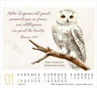 Beauté de la Création - Mini calendrier de table