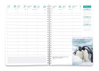 Agenda Liberté