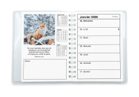 Agenda Color