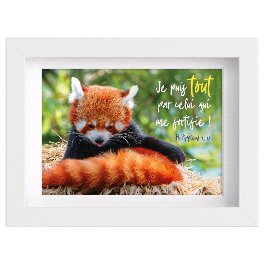 Mon Cadre Inspiration - Panda roux Mon Cadre Inspiration - Panda roux