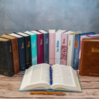 Bible Segond 21 compacte - couverture rigide motif prune