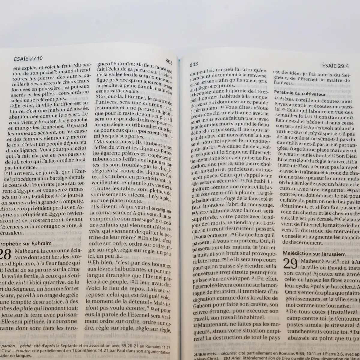 Bible Segond 21 compacte (Premium Style) - couverture souple toilée motif jeans, avec fermeture...