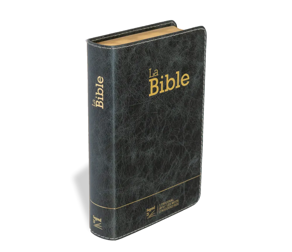 Bible Segond 21 compacte (Premium Style) - couverture souple, cuir anthracite, avec tranches dorées