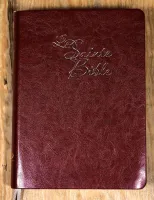 Bible Segond 1910, gros caractères, marron - couverture similicuir souple, tranche or, onglets