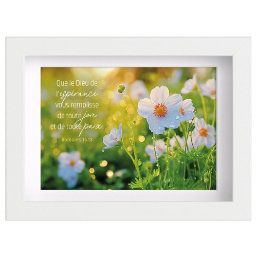 Mon cadre inspiration - Fleurs blanches