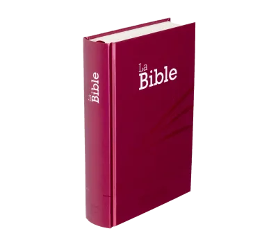 Bible Segond 21 compacte - couverture rigide motif prune