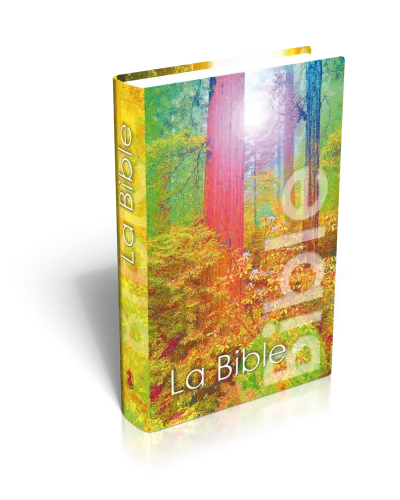 Bible Segond NEG, de poche, illustrée forêt - couverture rigide