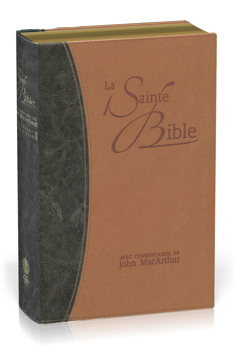 Bible d'étude Segond NEG MacArthur, duo bleu et marron - couverture souple, vivella, tranche or 