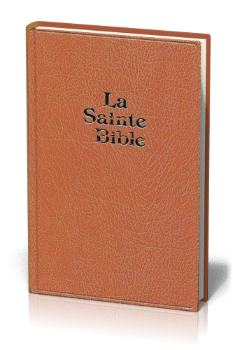 Bible Darby, grand format, brun clair - couverture rigide, skyvertex