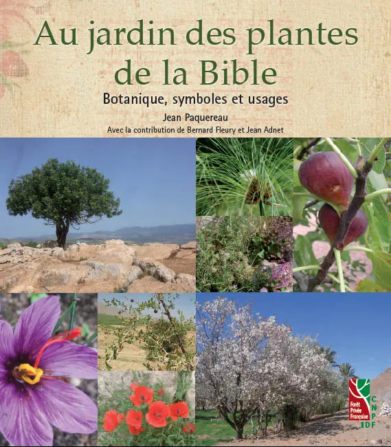 Au jardin des plantes de la Bible - Botanique, symboles et usages