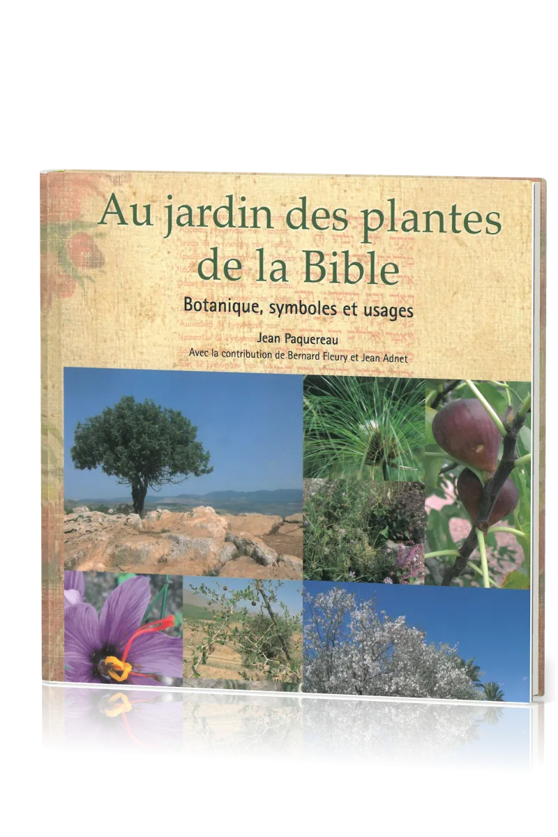Au jardin des plantes de la Bible - Botanique, symboles et usages
