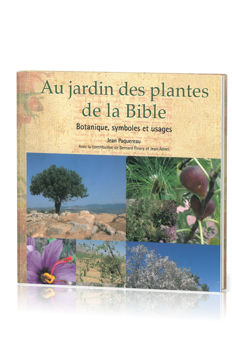 Au jardin des plantes de la Bible - Botanique, symboles et usages