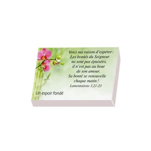 Dieu est amour - Boîte de 100 mini-cartes avec versets
