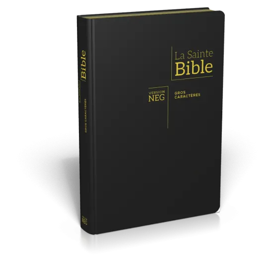 Bible Segond NEG, gros caractères, noire - Couverture souple, fibrocuir, tranche or, avec onglets