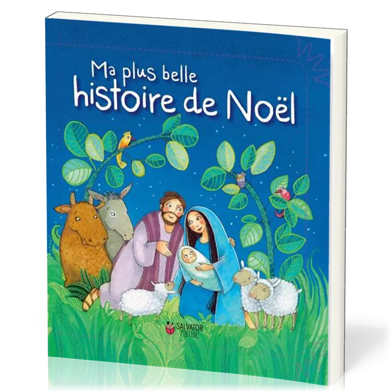 Ma plus belle histoire de Noël 