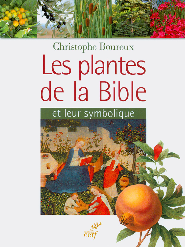 Plantes de la Bible et leur symbolique (Les)