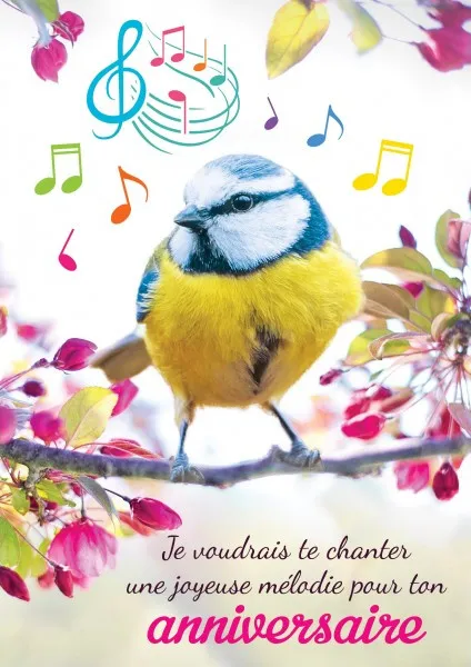 Maxi carnet anniversaire