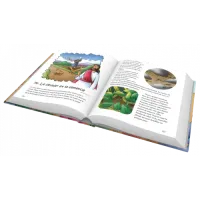 100 histoires favorites de la Bible (Les)
