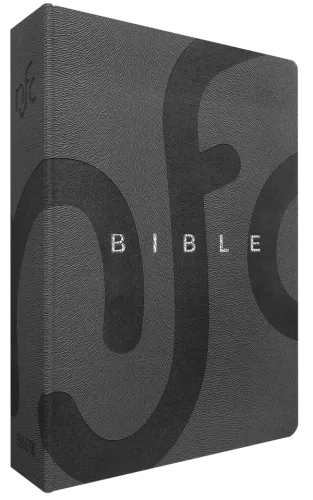Bible Nouvelle Français Courant - couverture souple, simili cuir gris, tranche argent, avec...