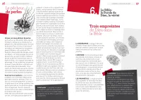 Évangile exposé simplement (L') - Aux musulmans et à tous