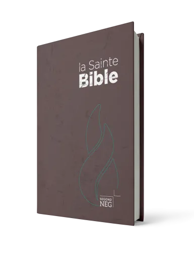 Bible Segond NEG, compacte - couverture rigide brune chocolat