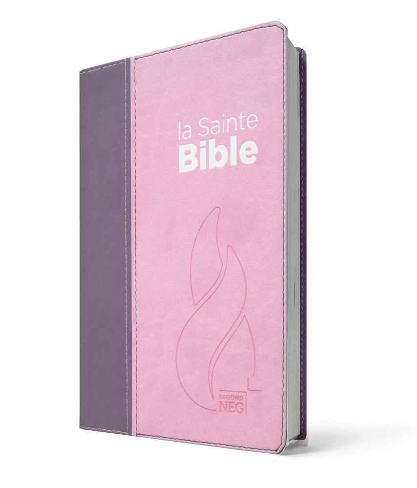Bible Segond NEG compacte - couverture souple, Vivella duo rose praline / violet fruits des bois