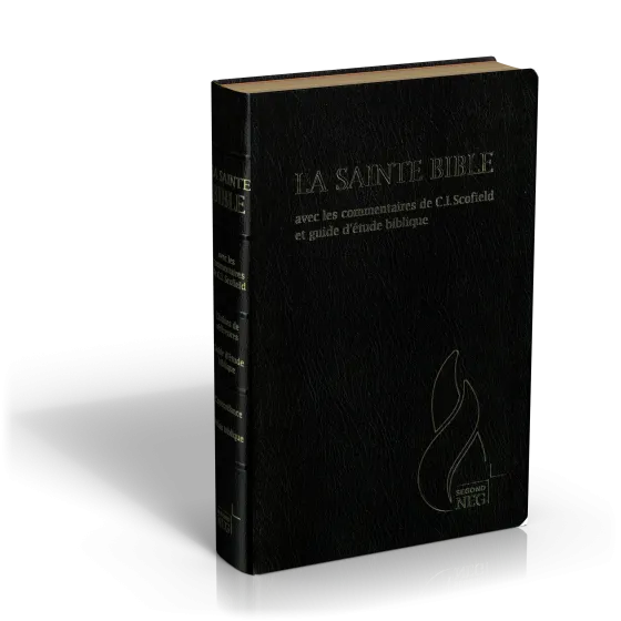 Bible d'étude Segond NEG Scofield, noire - couverture souple, fibrocuir, tranche or, avec onglets