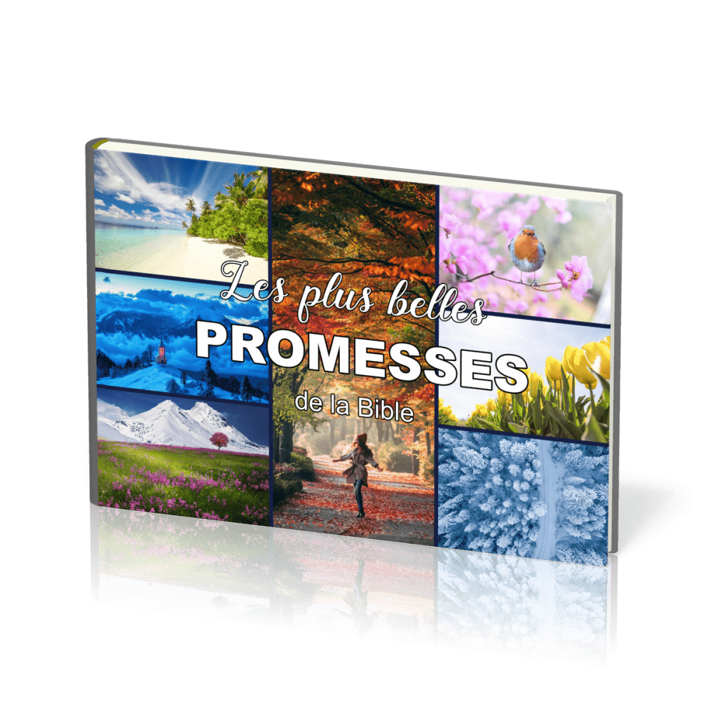 Plus Belles Promesses de la Bible (Les)