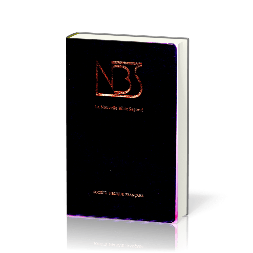 Bible NBS, compacte, grise - couverture souple, vivella