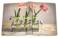 Allemand, Bible Schlachter 2000, motif "tulipe", références, parallèles [nouvelle orthographe]...