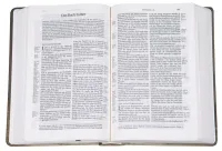 Allemand, Bible Schlachter 2000, motif "tulipe", références, parallèles [nouvelle orthographe]...