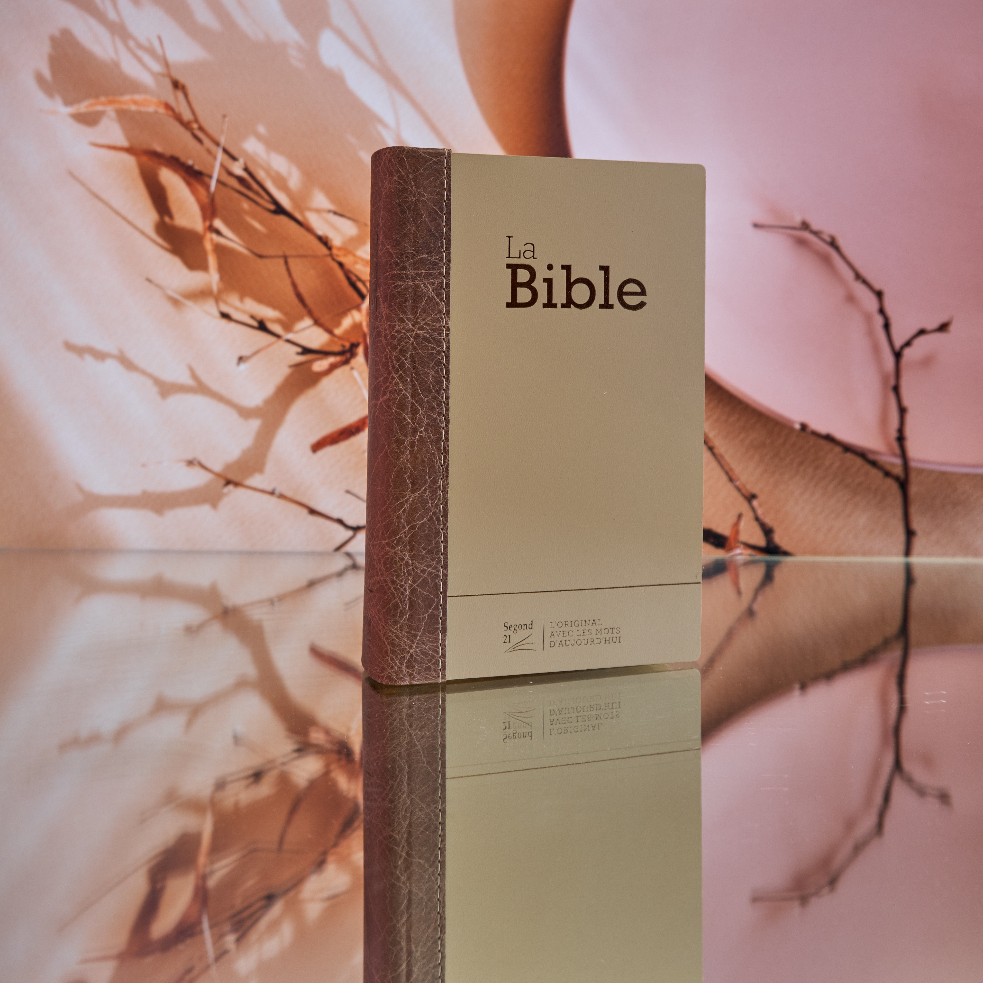 Bible Segond 21 compacte (Premium Style) - couverture semi-rigide duo cuir praliné-chocolat, avec tranches dorées et onglets