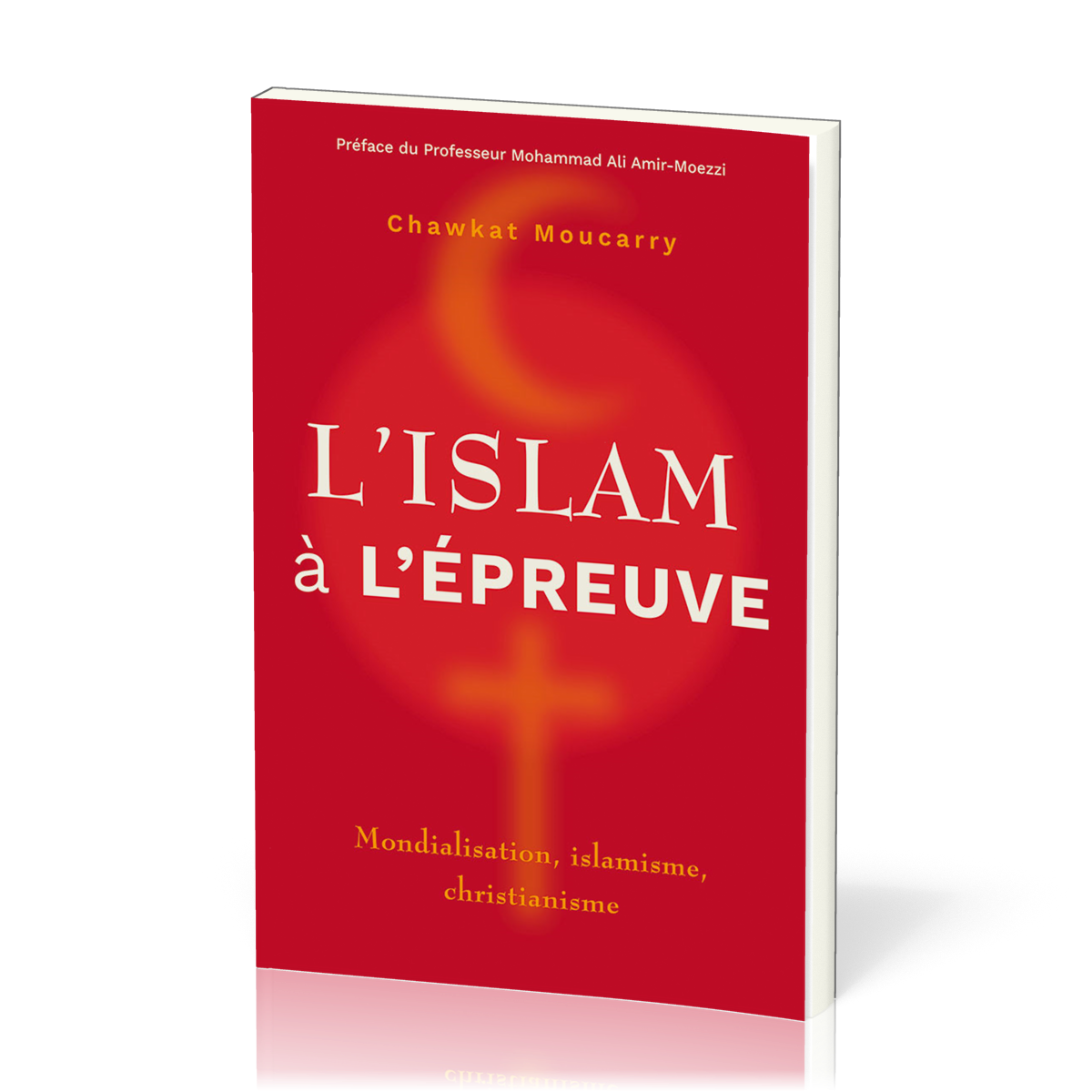 L’islam à l’épreuve - Mondialisation, islamisme, christianisme
