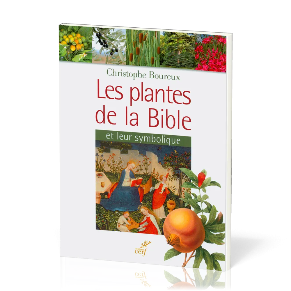 Plantes de la Bible et leur symbolique (Les)