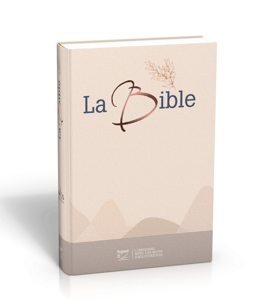 Bible Segond 21, gros caractères, - modèle rigide toilé matelassé - La Maison de la Bible x Sœur_co