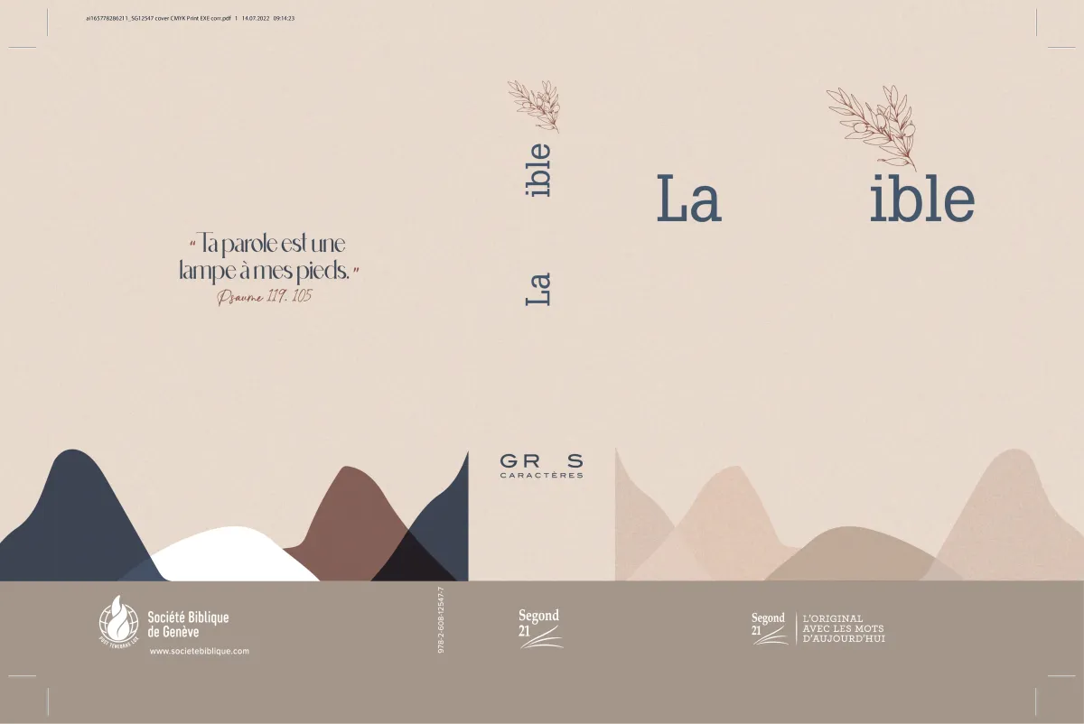 Bible Segond 21, gros caractères, - modèle rigide toilé matelassé - La Maison de la Bible x Sœur_co